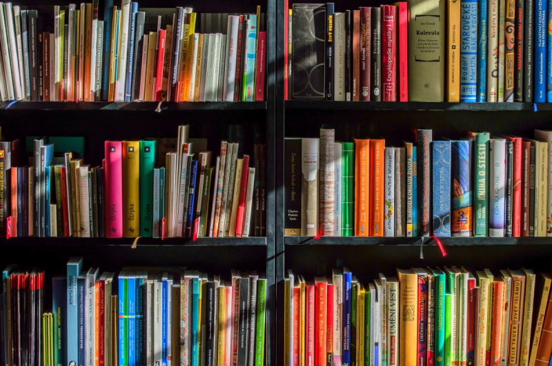 boutique-ST RAPHAEL-min_books_bookstore_book_reading_shop_writer_sale_books_read-822866